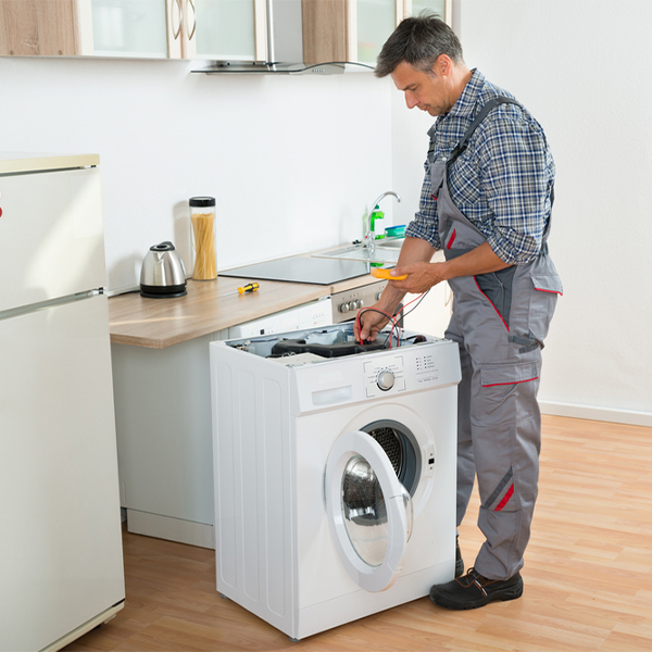 can you walk me through the steps of troubleshooting my washer issue in Loop